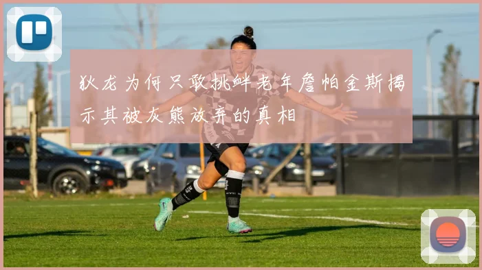 狄龙为何只敢挑衅老年詹帕金斯揭示其被灰熊放弃的真相