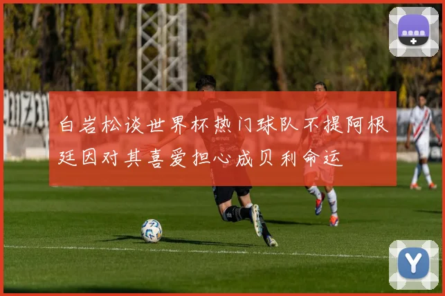 白岩松谈世界杯热门球队不提阿根廷因对其喜爱担心成贝利命运